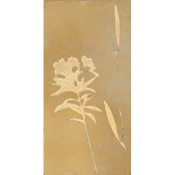 Mosaic House Moroccan tile CH-Oleander B 11 Beige,    chiseled field 